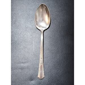 Wm Rogers Overlaid Silverplate Treasure Pattern Flatware Single Serving Spoon